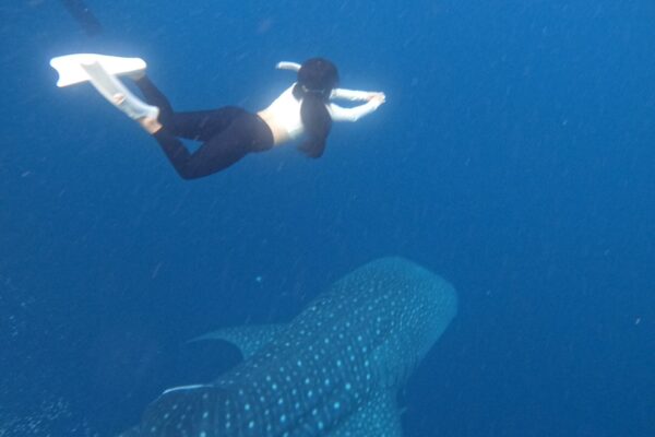 Travel Designer Met Het Gezin Op Rondreis Door Indonesië